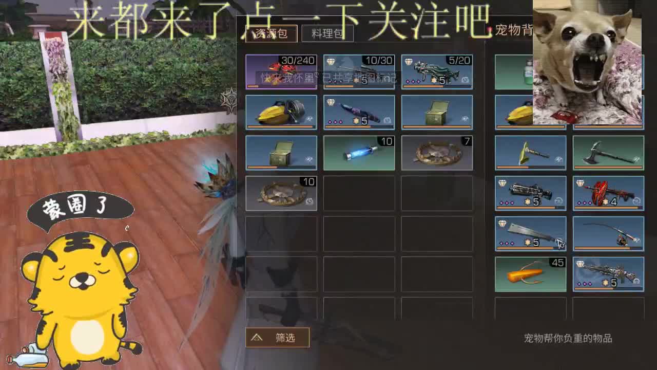 特训摆烂 第1段
