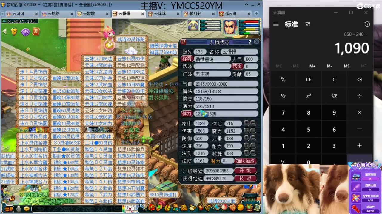 只希望我能带给你们快乐