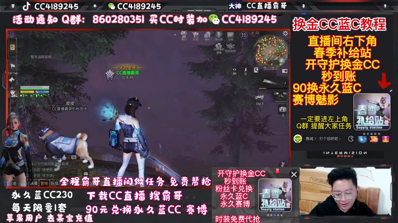 30换蓝C+白C+鸡腿 秒到账 第3段