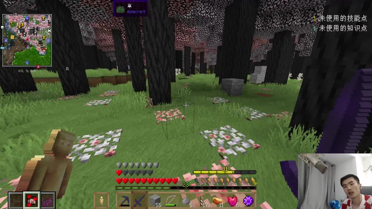 㞭：全新宝藏肝人整合包 第3段