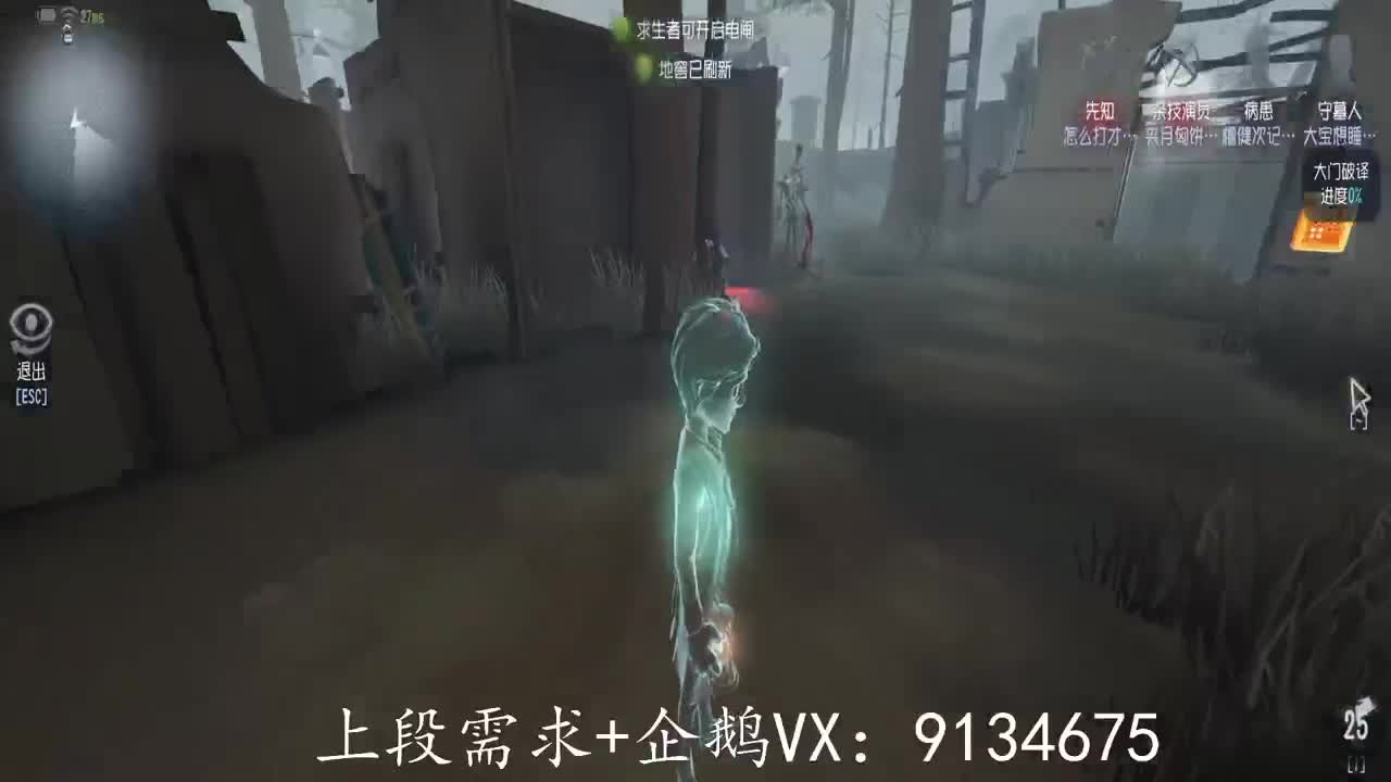 巅峰人皇在线接单