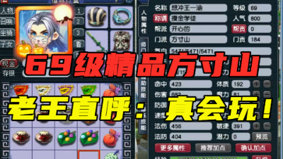 梦幻西游：69级精品方寸，简易和无级别混打，老王直呼：真会玩！
