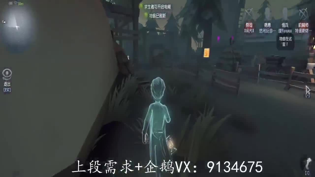 巅峰人皇在线接单