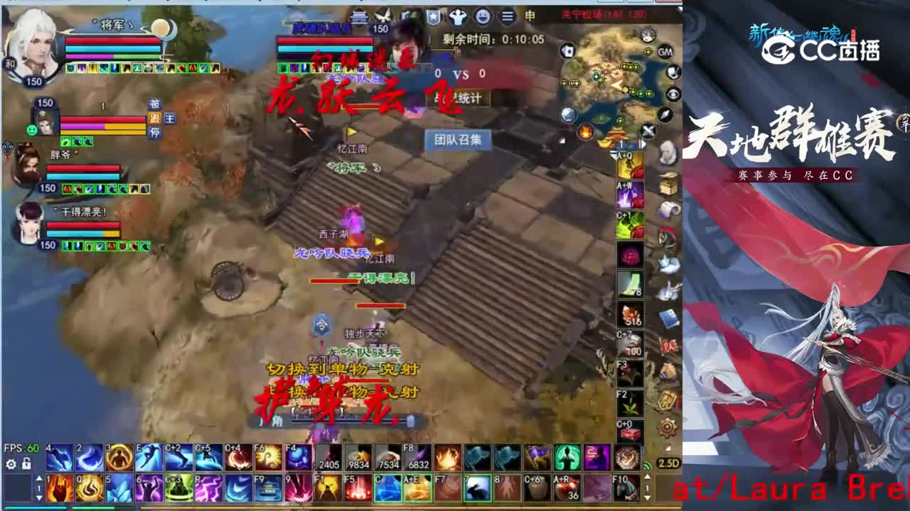 菊花150司星2