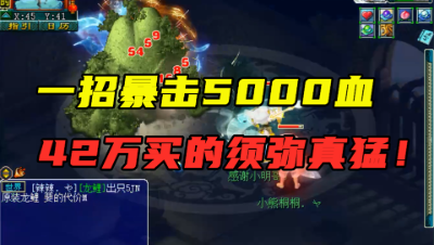 梦幻西游：老王测试42万买的须弥，群秒暴击5000多，单挑用无敌？