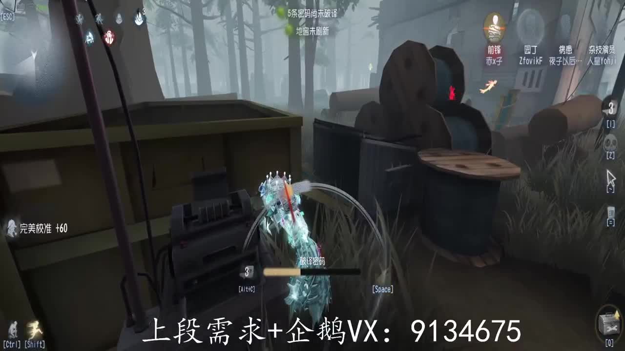 巅峰人皇在线接单