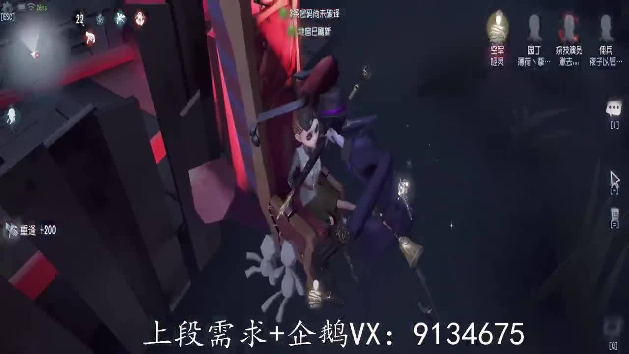 巅峰人皇在线接单