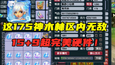 梦幻西游：“这号在区内无敌！”，老王直呼：已完美到无法提升！