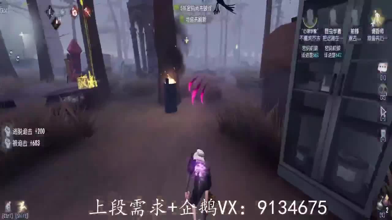 第五-巅峰人皇在线接单