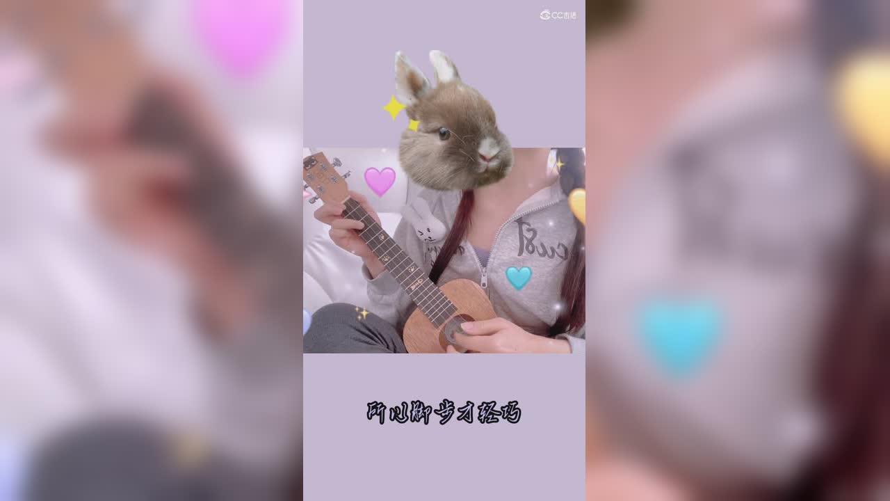 miyo糯米兔的圈子视频