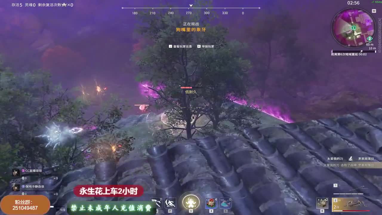 粉丝卡上车