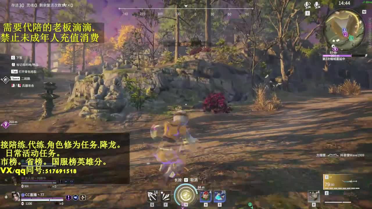 4800修罗局接单,代,陪.日常! 第1段