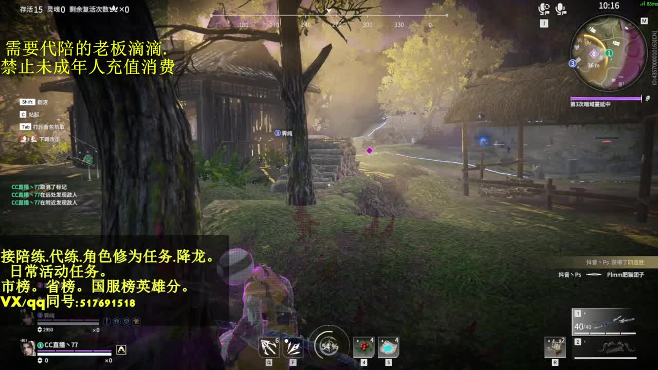 4800修罗局接单,代,陪.日常!