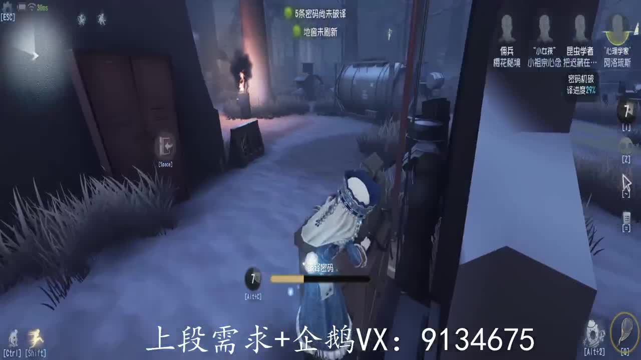 巅峰人皇在线接单