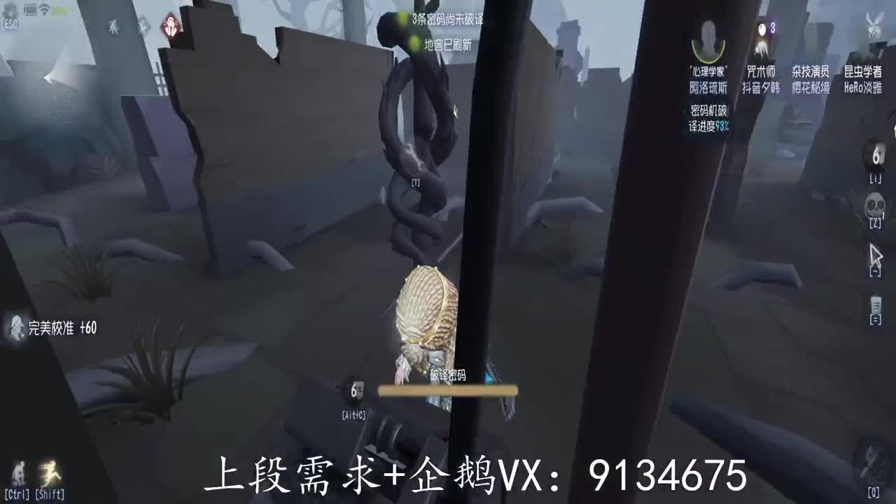 巅峰人皇在线接单