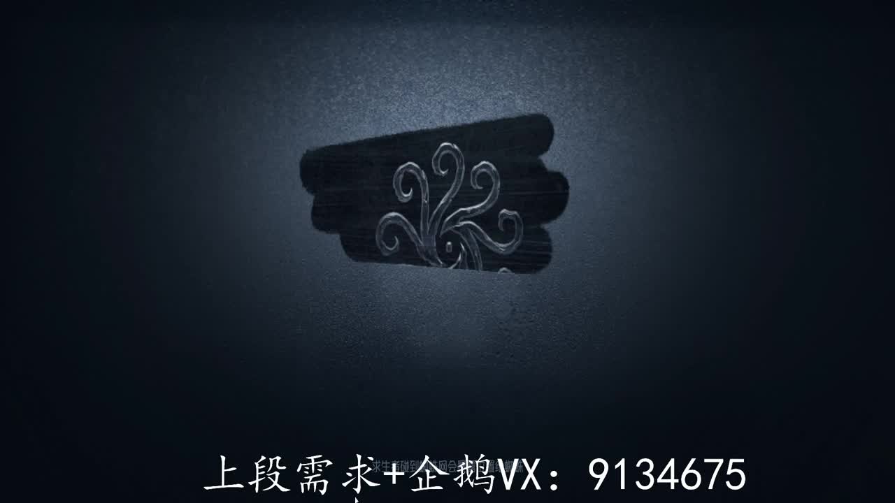 巅峰人皇在线接单 第2段