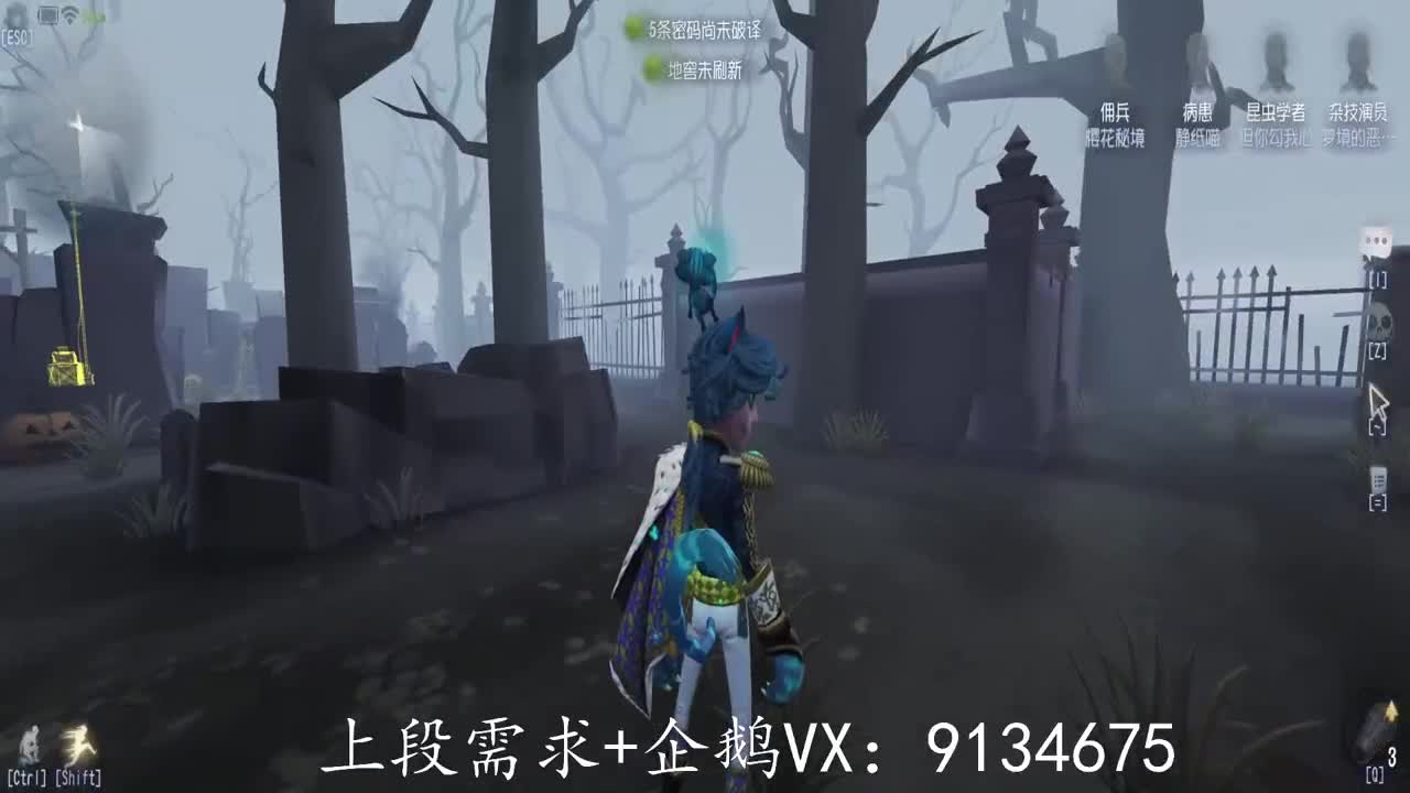 巅峰人皇在线接单