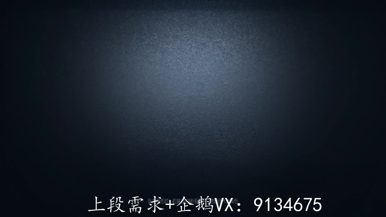 巅峰人皇在线接单