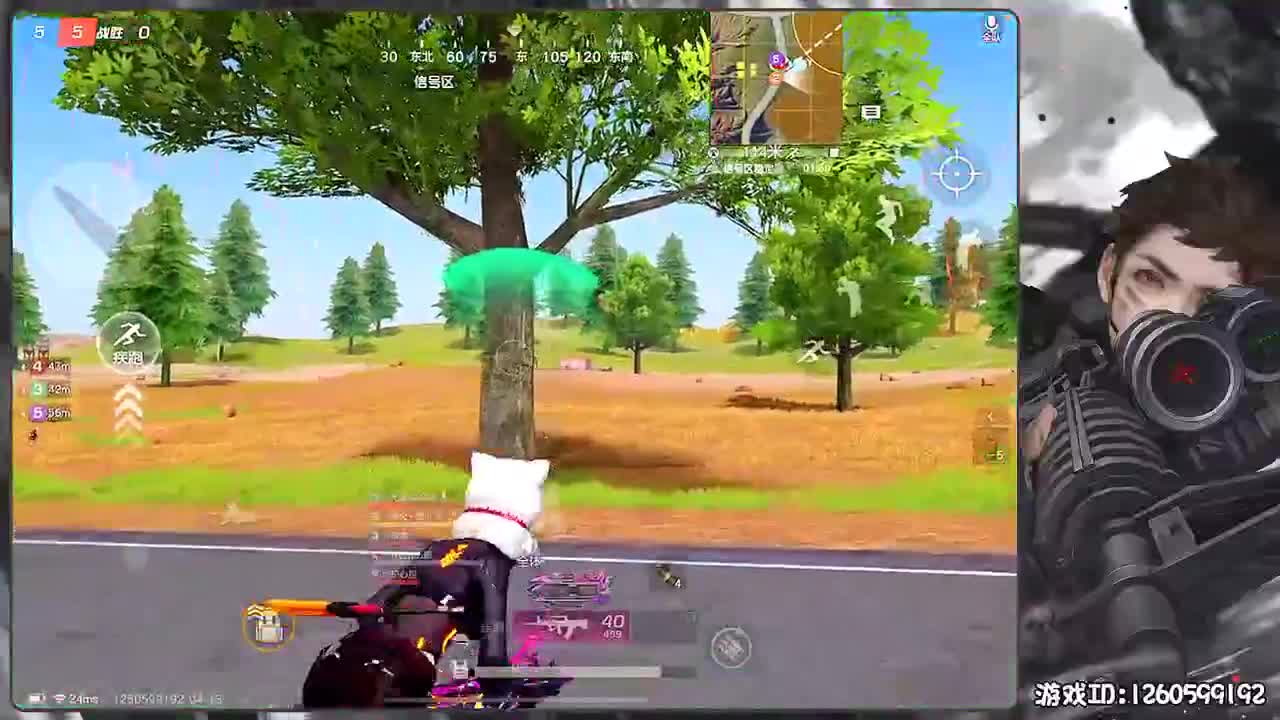 岁岁平安 第1段