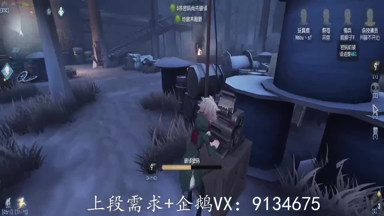 巅峰人皇在线接单