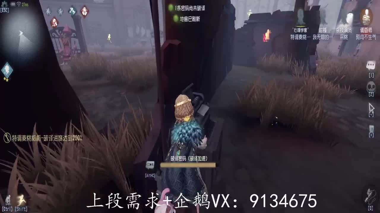 巅峰人皇在线接单