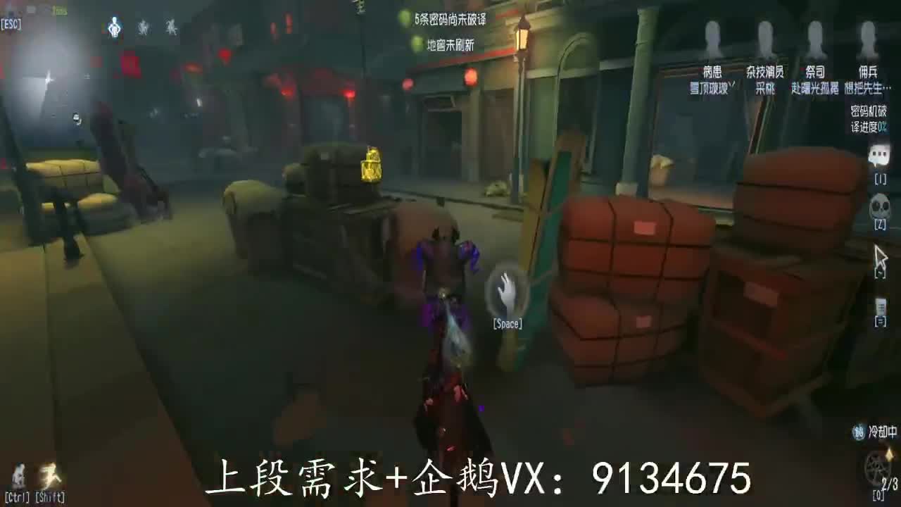 巅峰人皇在线接单