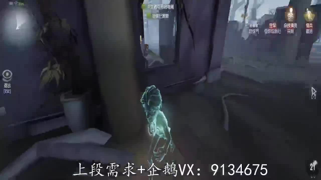 巅峰人皇在线接单