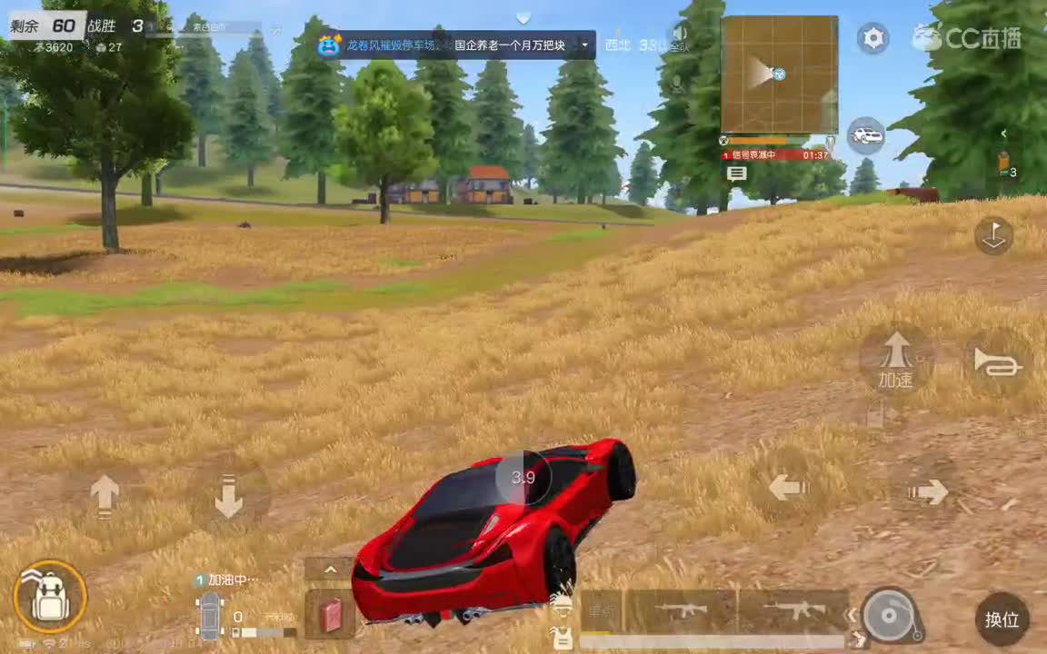 陪伴和守护是最好的偏爱