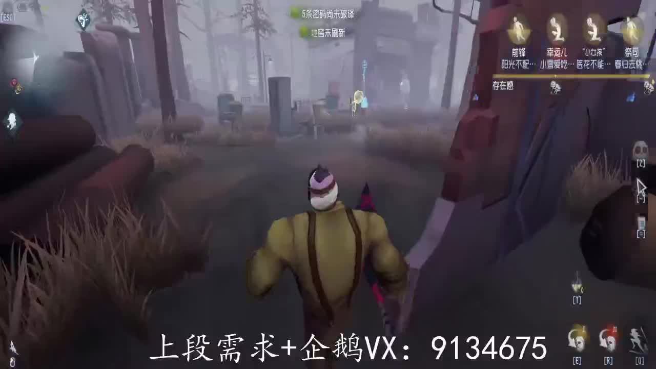 巅峰人皇在线接单 第2段