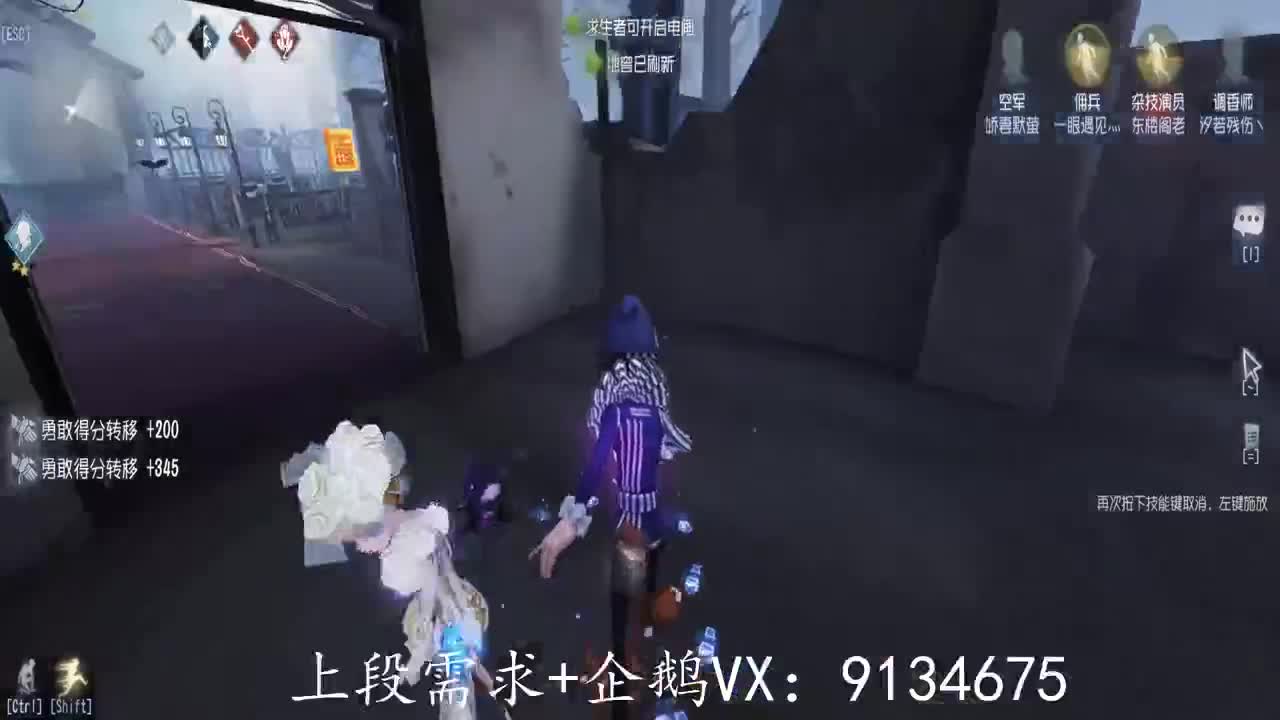 巅峰人皇在线接单