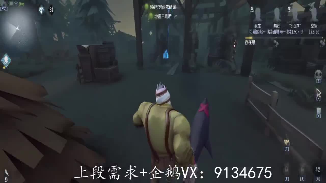 巅峰人皇在线接单
