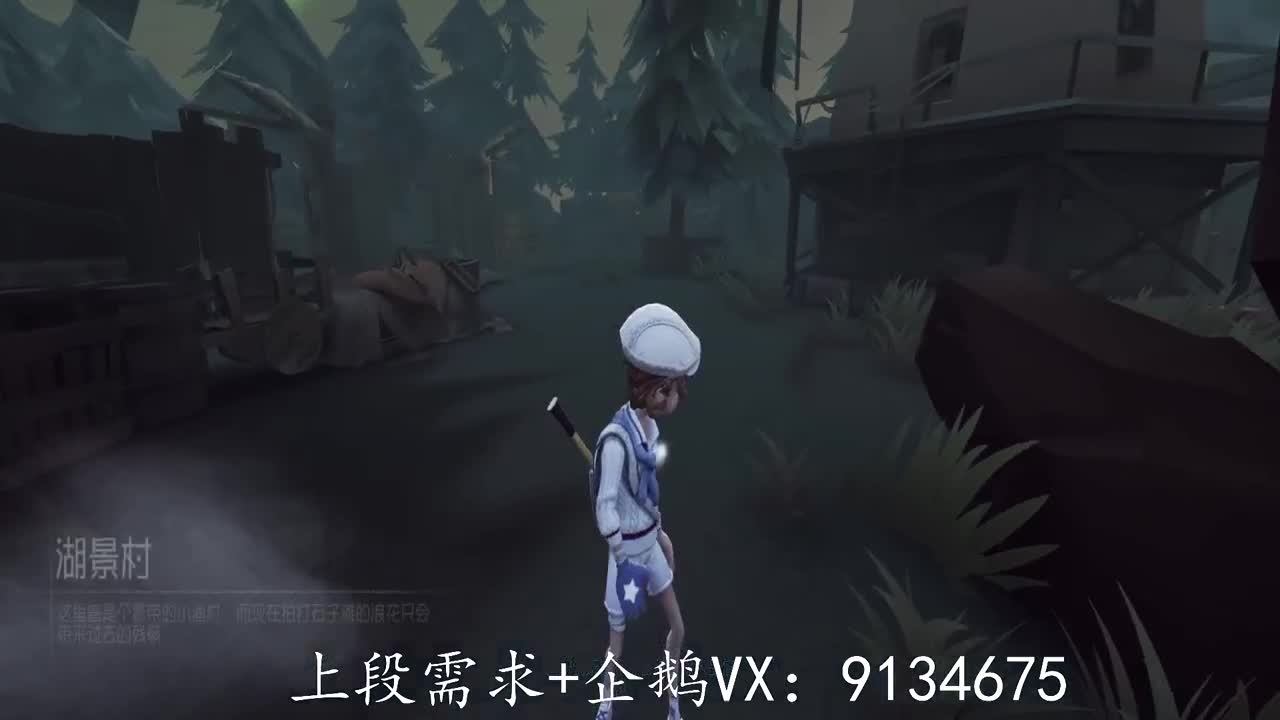 巅峰人皇在线接单