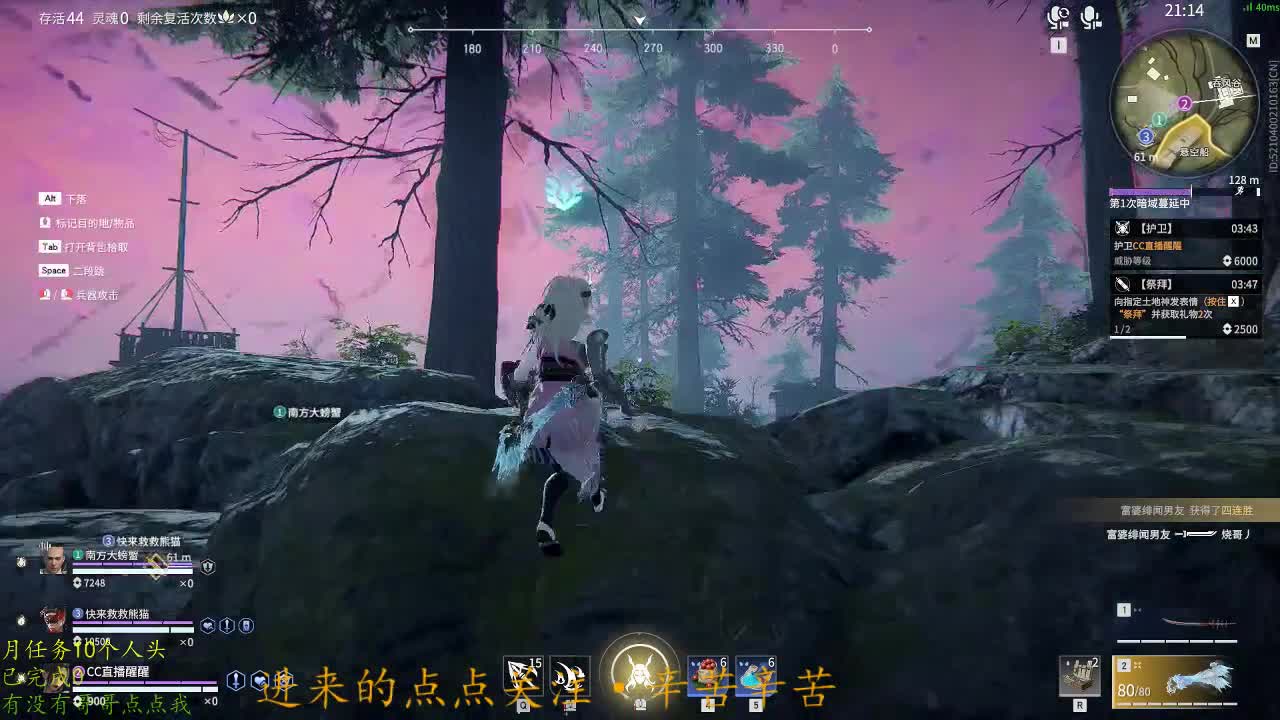 蹲个老板！