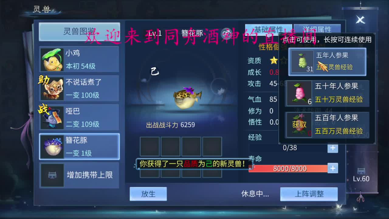 等风也等你 第2段