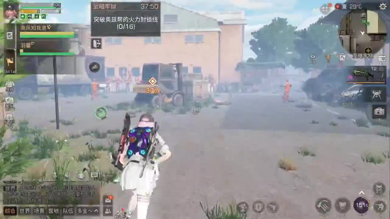 杏花开了