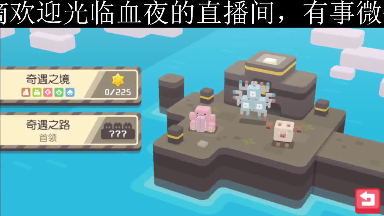 等风也等你