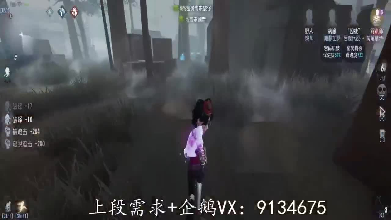 巅峰人皇在线接单