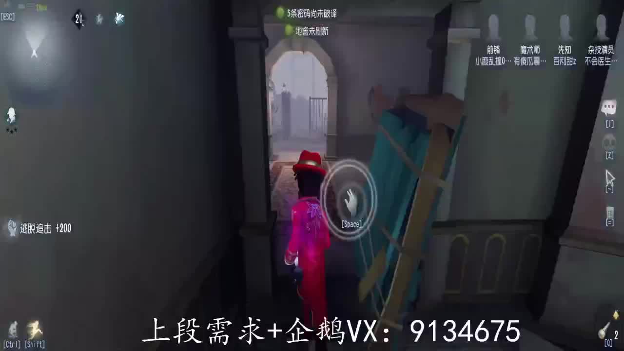 巅峰人皇在线接单