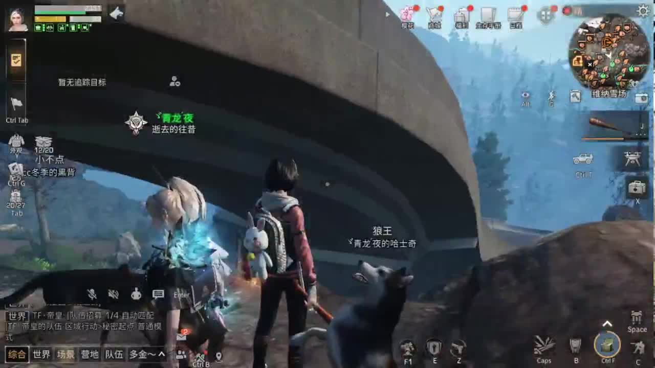 杏花开了