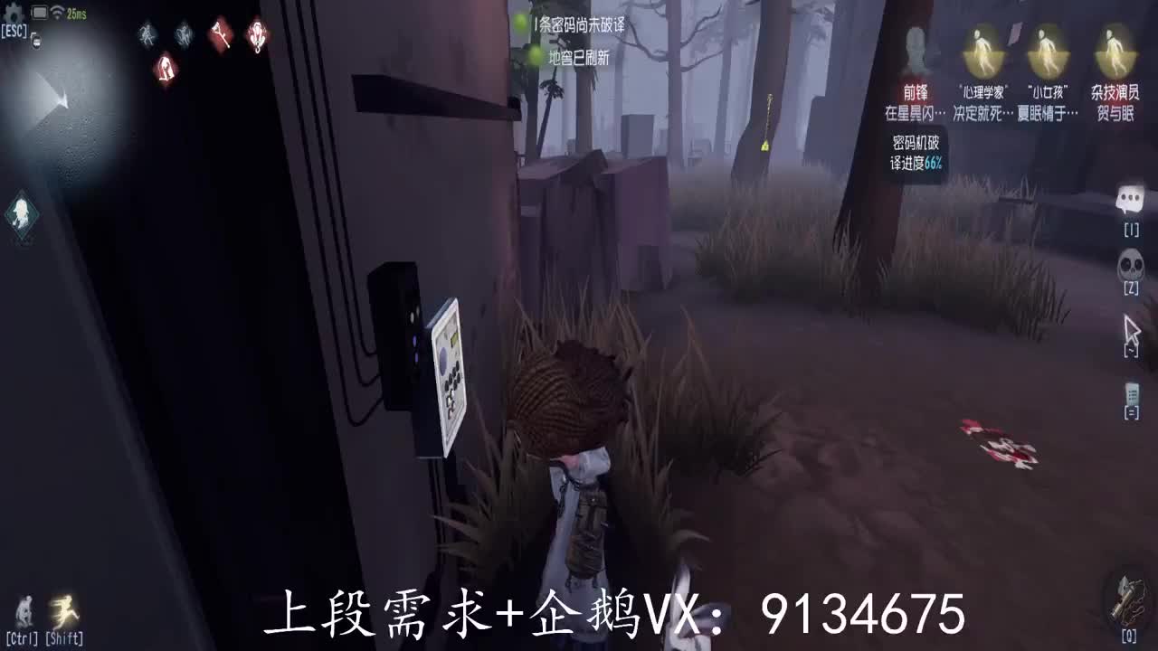 巅峰人皇在线接单