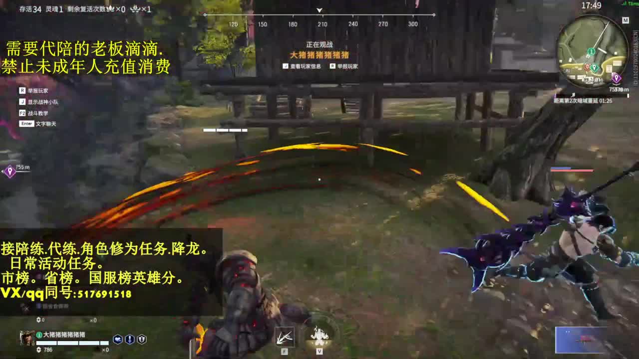 4900修罗接代,陪,日常.屠龙 第2段