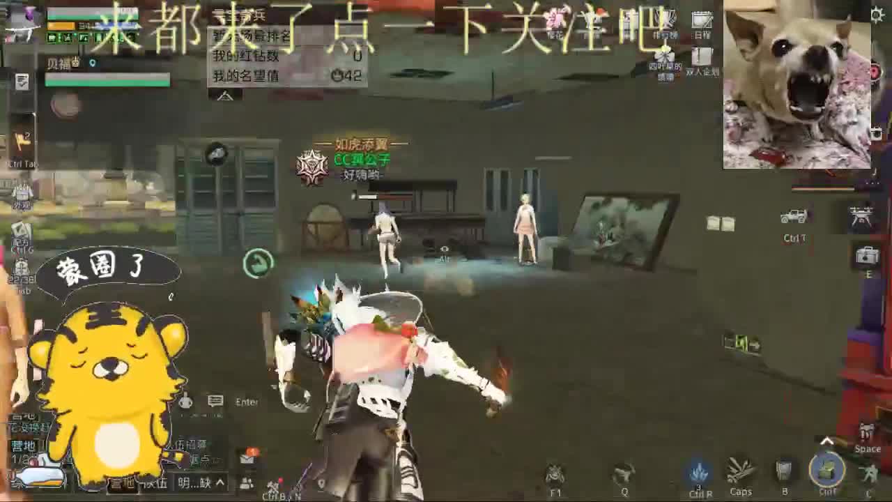 更新前夕