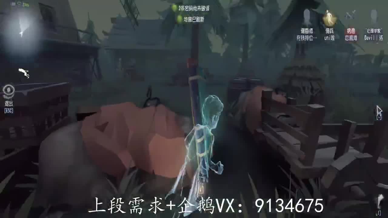 巅峰人皇在线接单