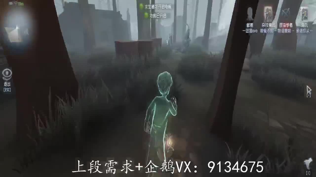 巅峰人皇在线接单