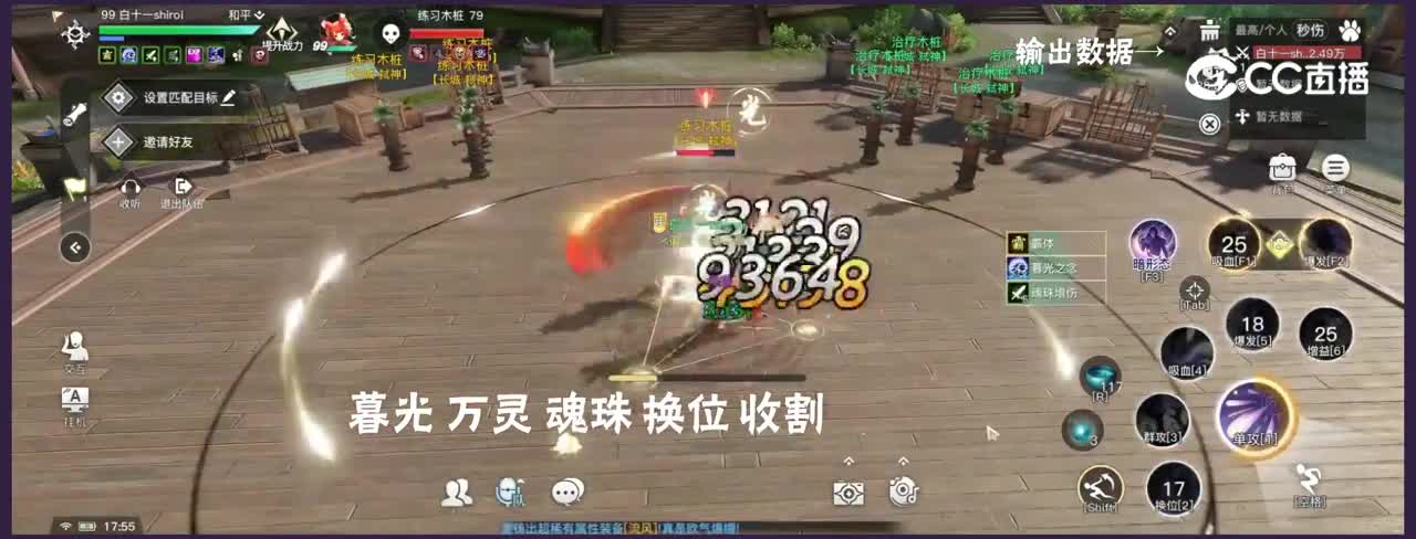 【攻略】流光—纯输出连招演示
