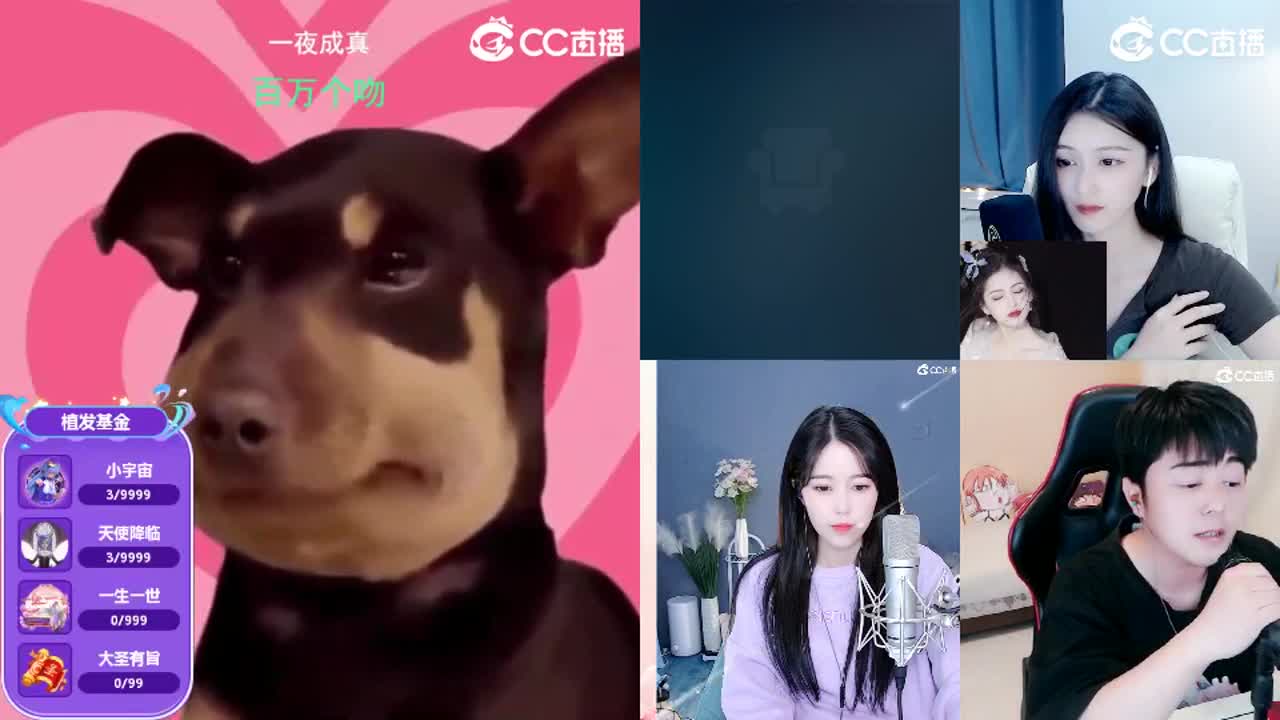 唱歌的2018勇武菜猪·2022·网卡版 第1段