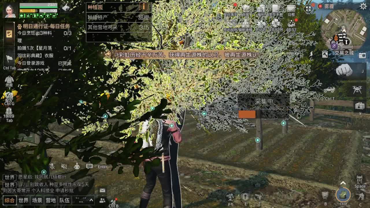 杏花开了，落了 第1段