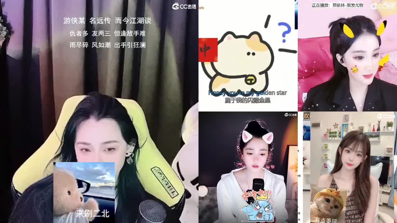 唱歌的2018勇武菜猪·2022·网卡版 第1段