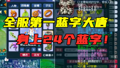 梦幻西游：全服第一蓝字大唐，身带24蓝字，5个套装杀木桩测试！