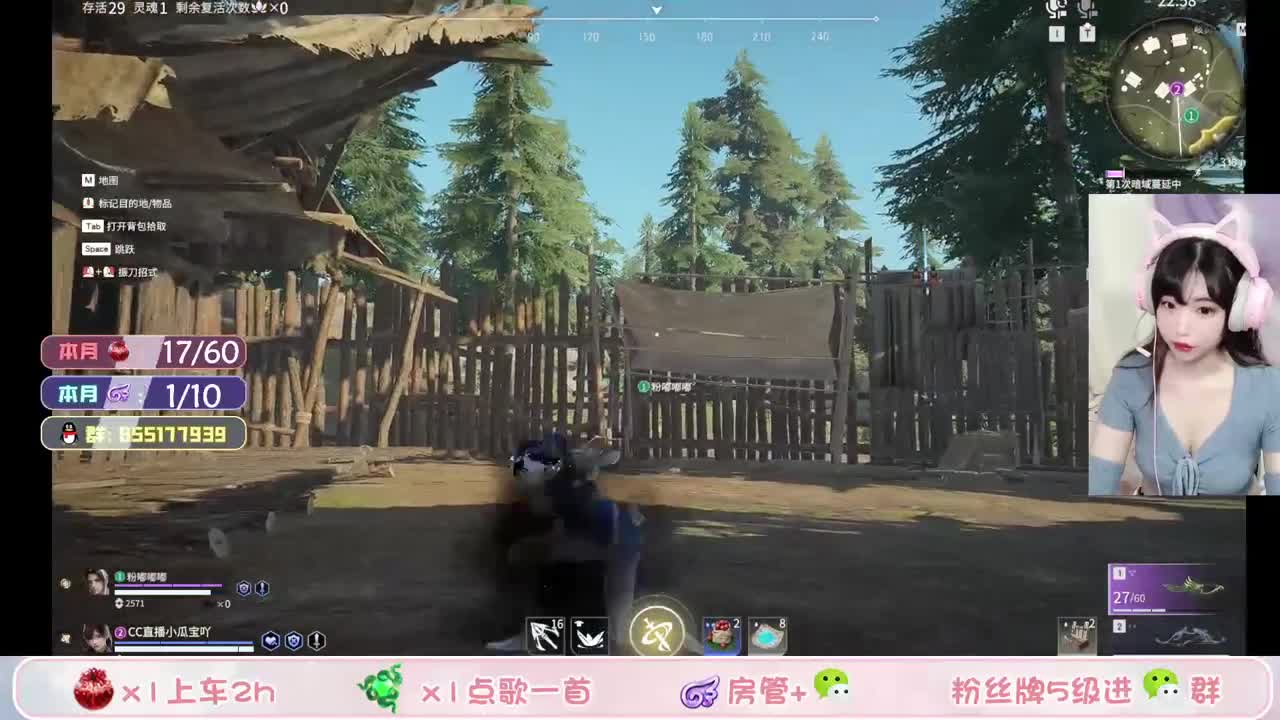 技术主播